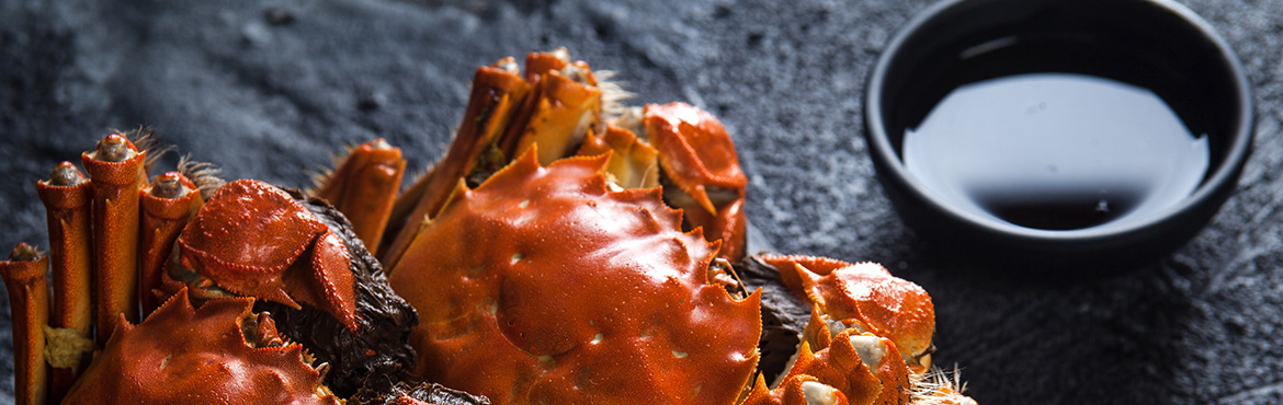 長(zhǎng)康大紅浙醋 長(zhǎng)康大紅浙醋